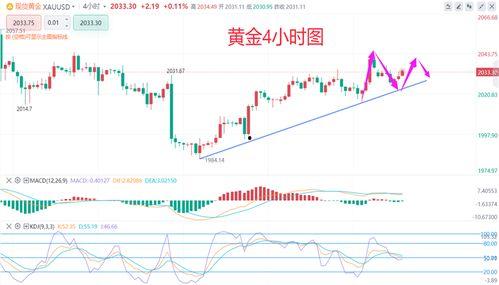 古越最新爆料后续走势,揭秘后续走势,悬念迭起引关注 第3张 古越最新爆料后续走势,揭秘后续走势,悬念迭起引关注 第3张